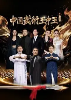 《中国武术王中王第二季》：硬核对决看得我热血沸腾，这才是真功夫！