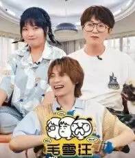 《毛雪汪 加更版》：治愈系慢生活观察，毛不易与李雪琴的“脱口秀”式友谊分享